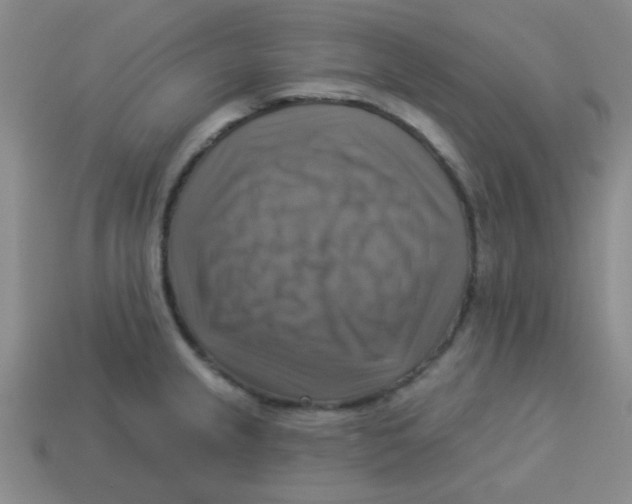 X0000113341237200910131211