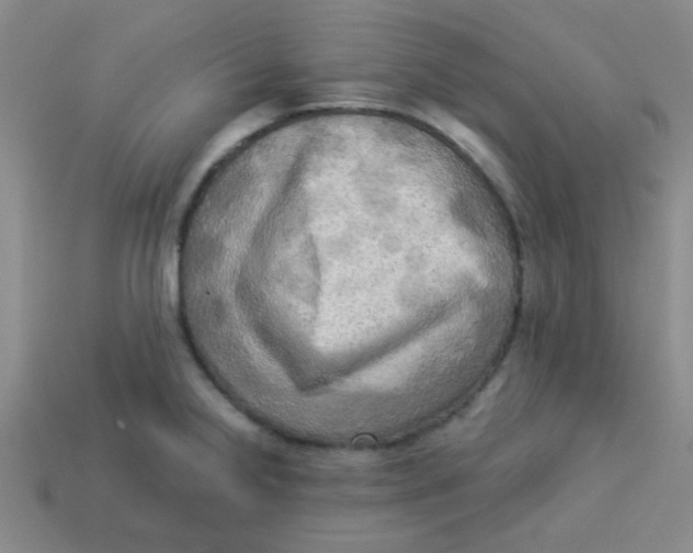 X0000113341238200910131212