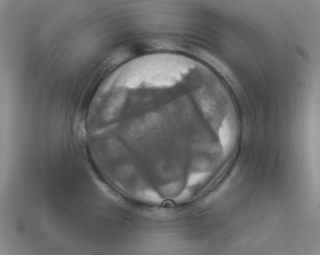 X0000113341241200910131212