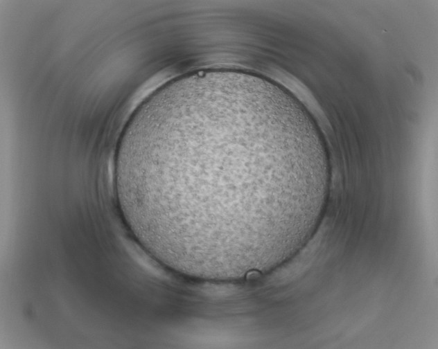 X0000113341242200910131212
