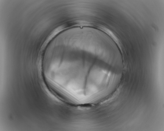 X0000113341243200910131212