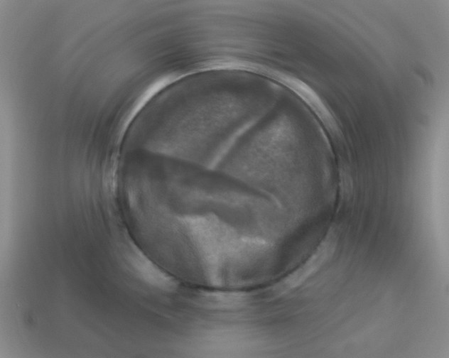 X0000113341244200910131212