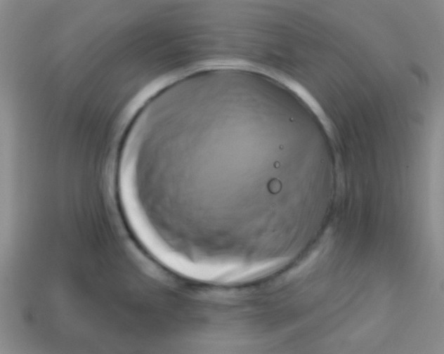 X0000113341245200910131212