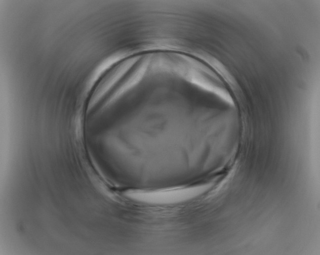 X0000113341246200910131212