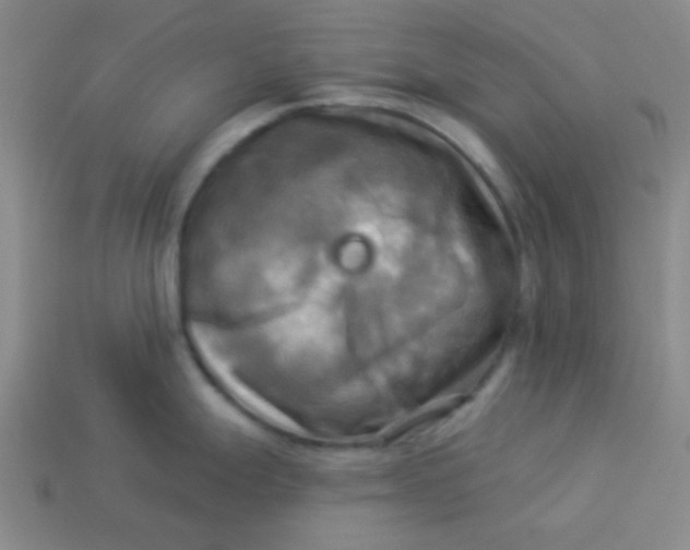 X0000113341247200910131212