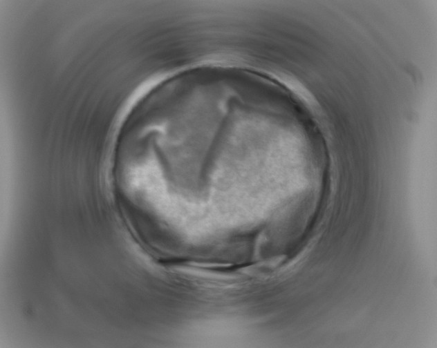 X0000113341248200910131212