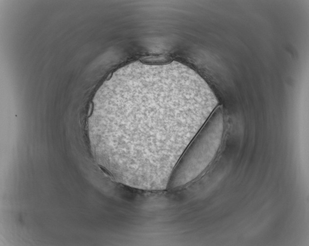 X0000113341249200910131211