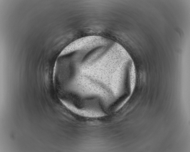 X0000113341250200910131211
