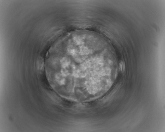 X0000113341251200910131211