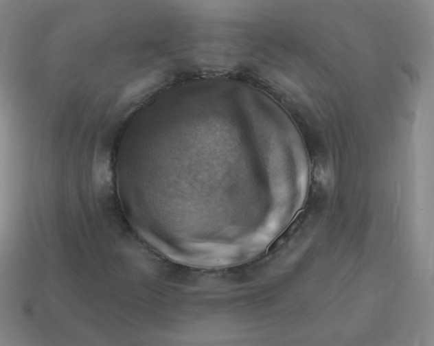 X0000113341252200910131211