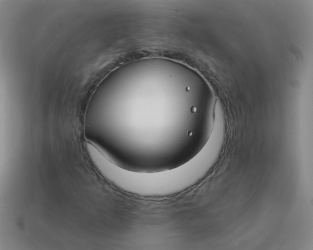 X0000113341253200910131211