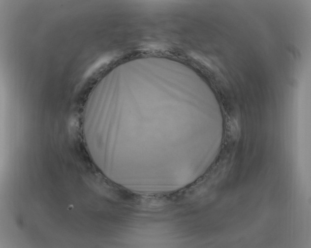 X0000113341254200910131211