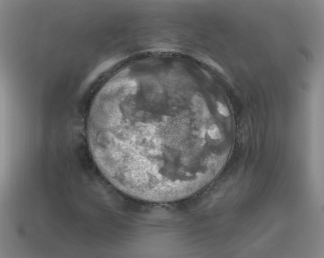 X0000113341255200910131211
