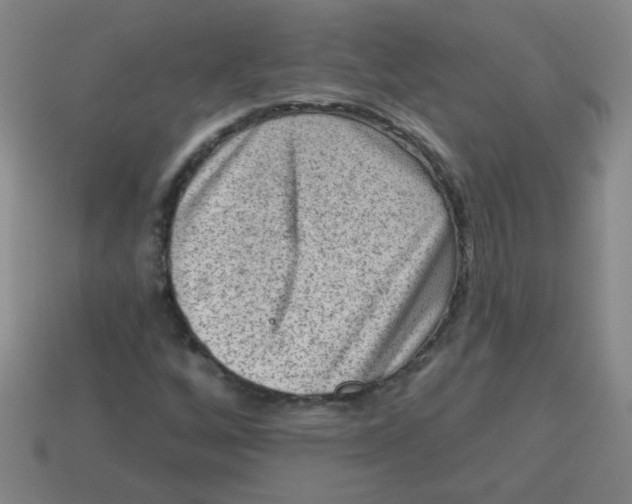 X0000113341256200910131211