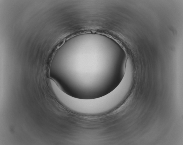 X0000113341257200910131211