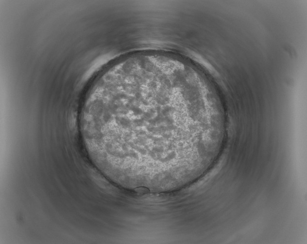 X0000113341259200910131211
