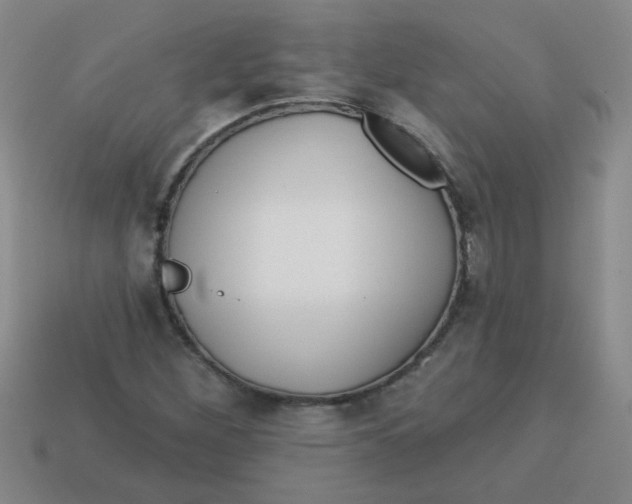 X0000113341260200910131211