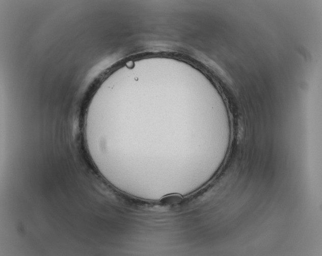 X0000113341261200910131211