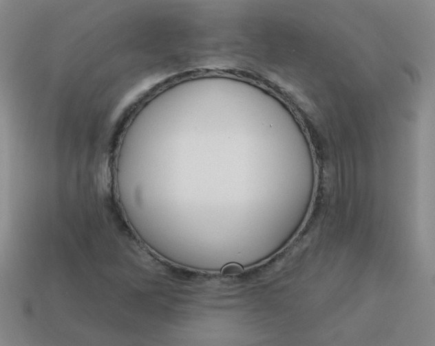 X0000113341262200910131211