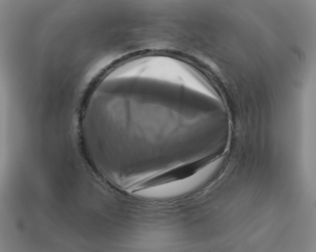 X0000113341263200910131211
