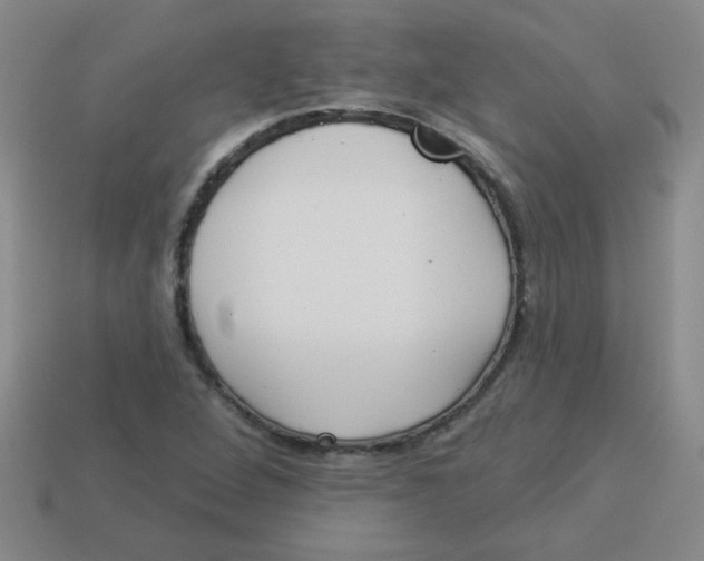 X0000113341264200910131211
