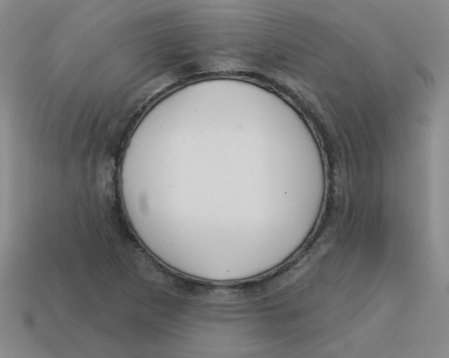 X0000113341265200910131211