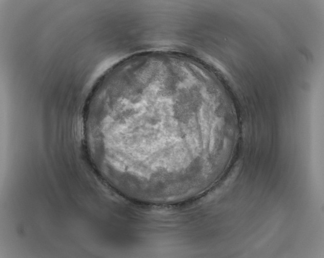 X0000113341267200910131211