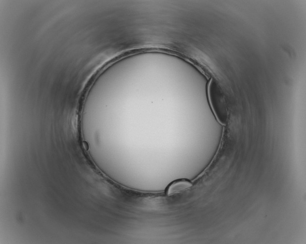 X0000113341268200910131211