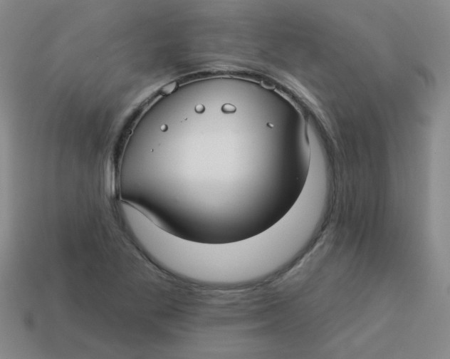 X0000113341269200910131211