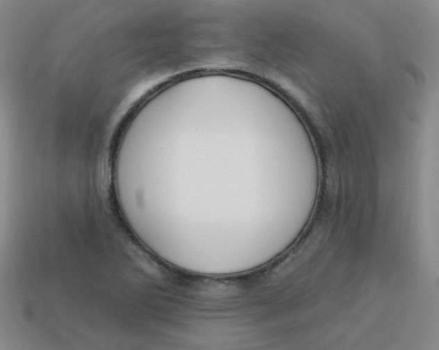 X0000113341270200910131211