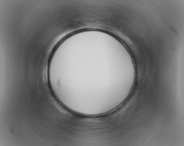 X0000113341272200910131211