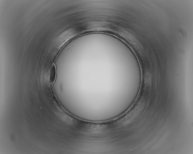 X0000113341273200910131211
