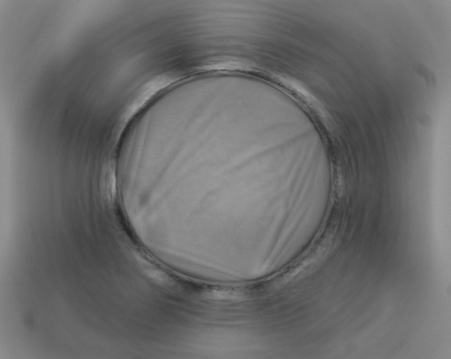 X0000113341274200910131211