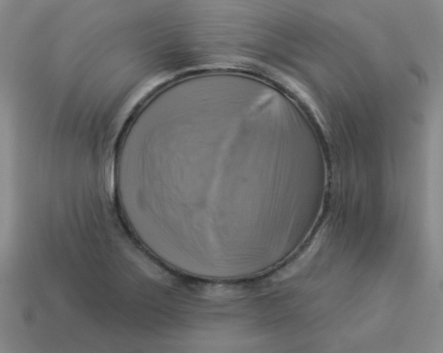 X0000113341275200910131211