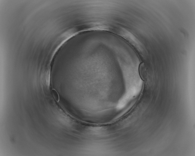X0000113341276200910131211
