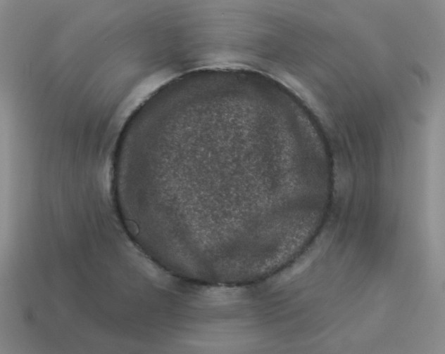 X0000113341277200910131211