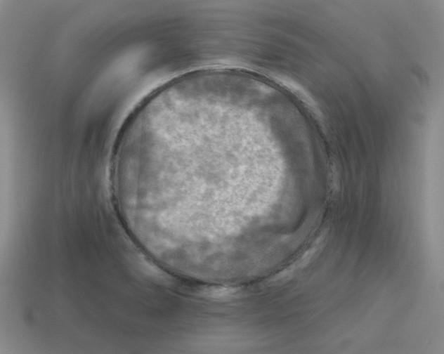 X0000113341278200910131211