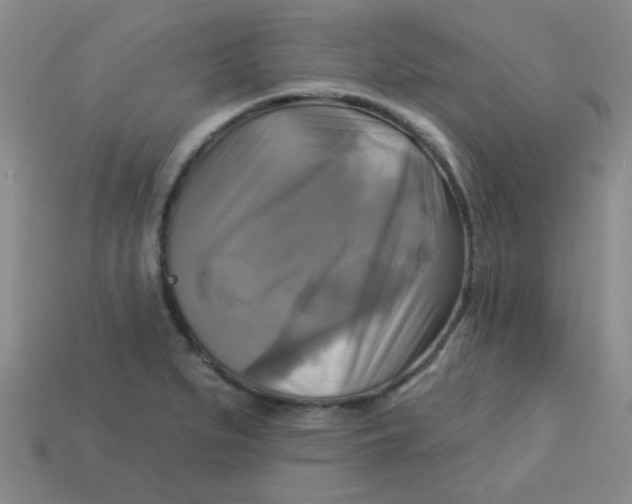 X0000113341279200910131211