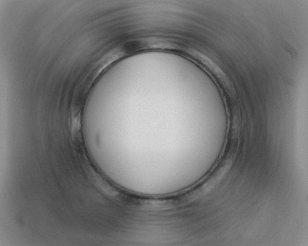X0000113341281200910131211