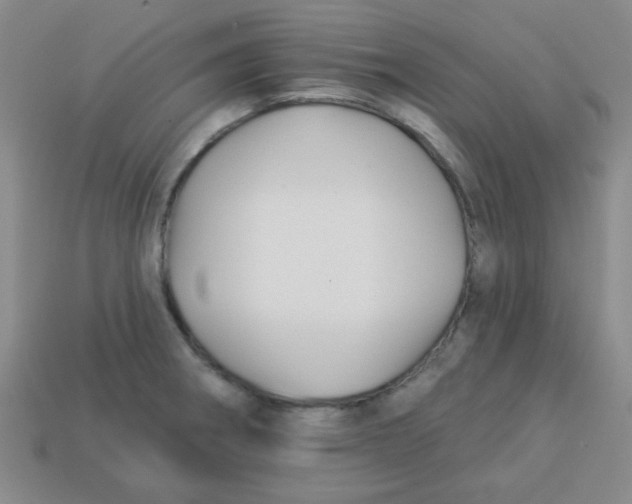 X0000113341282200910131211