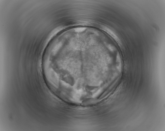 X0000113341283200910131211