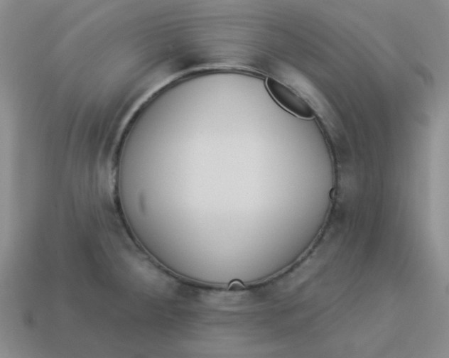 X0000113341284200910131211