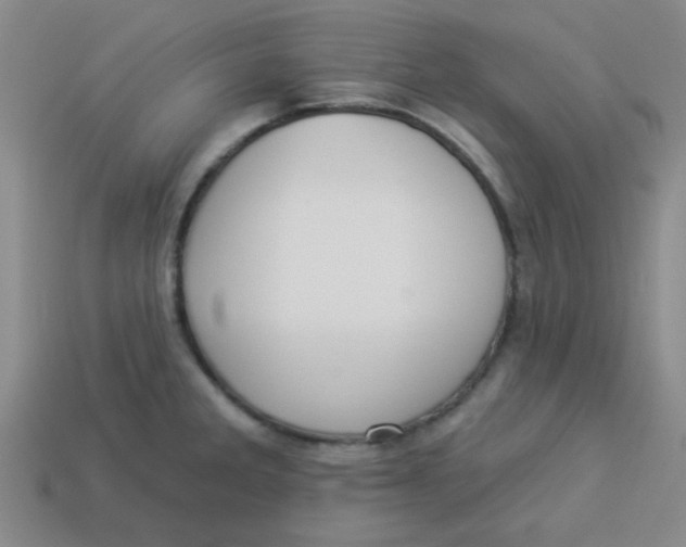 X0000113341285200910131211