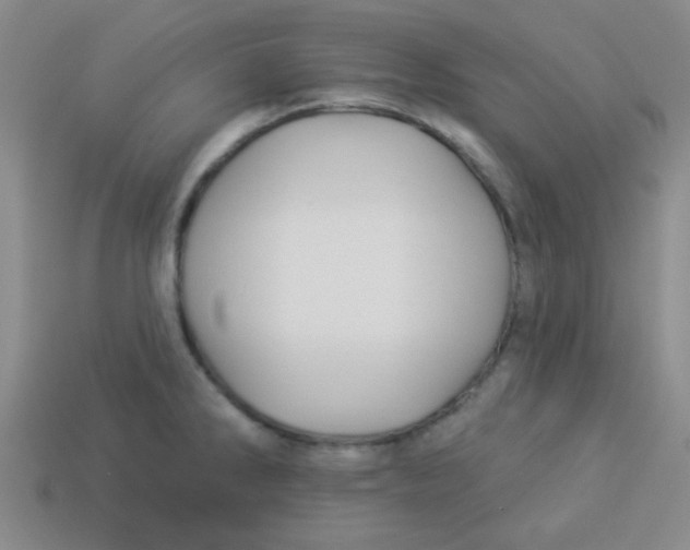 X0000113341286200910131211
