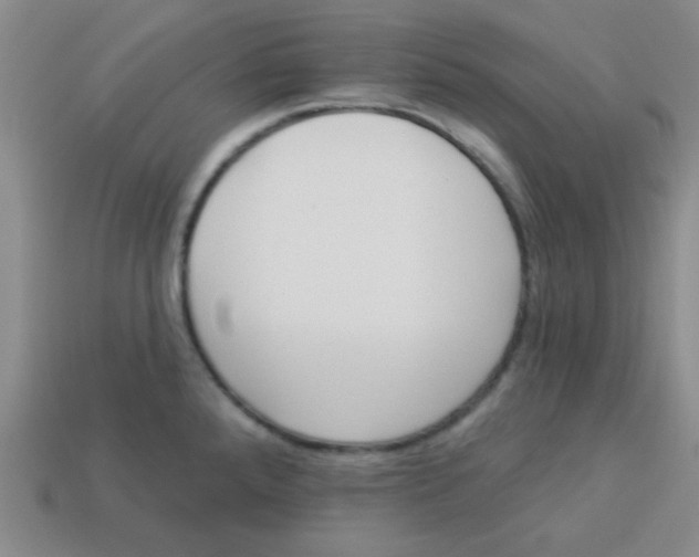 X0000113341288200910131211
