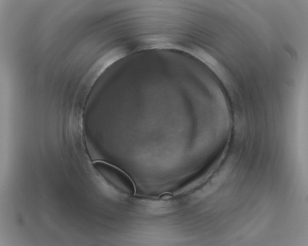 X0000113341289200910131211