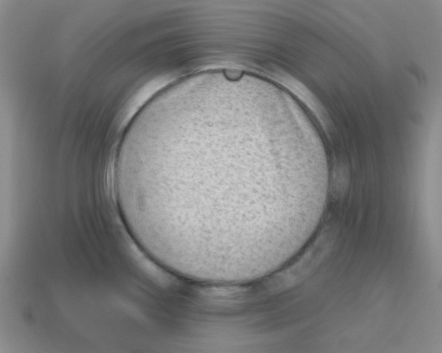 X0000113341290200910131211