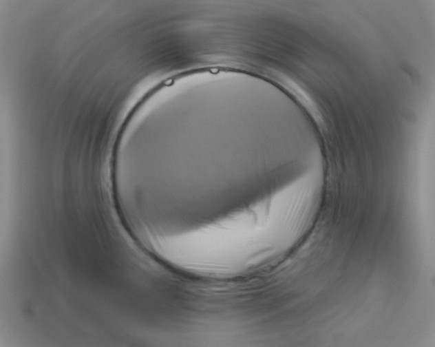 X0000113341291200910131210