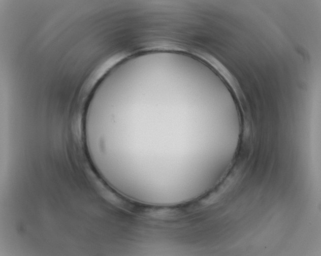 X0000113341293200910131210