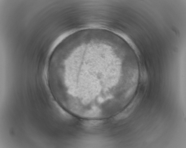 X0000113341294200910131210